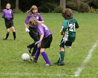 3412 Alligators GU11 112109