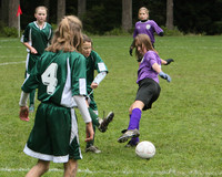 3413 Alligators GU11 112109