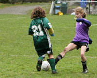 3415 Alligators GU11 112109