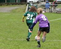 3416 Alligators GU11 112109