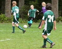 3422 Alligators GU11 112109