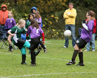 3445 Alligators GU11 112109