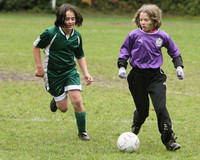 3449 Alligators GU11 112109