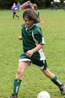 3451 Alligators GU11 112109