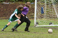 3473 Alligators GU11 112109