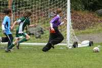 3476 Alligators GU11 112109