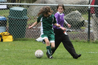 3479 Alligators GU11 112109