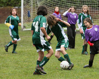 3496 Alligators GU11 112109