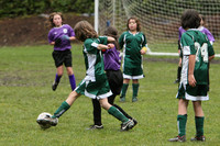 3497 Alligators GU11 112109