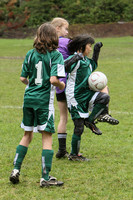 3500 Alligators GU11 112109