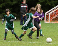 3534 Alligators GU11 112109