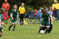 3552 Alligators GU11 112109