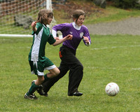 3557 Alligators GU11 112109