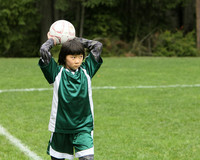 3560 Alligators GU11 112109