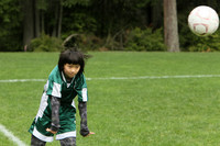 3561 Alligators GU11 112109