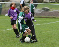 3573 Alligators GU11 112109