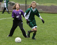 3574 Alligators GU11 112109