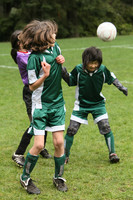 3606 Alligators GU11 112109