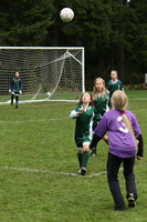 3608 Alligators GU11 112109