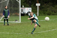 3613 Alligators GU11 112109