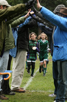 3622 Alligators GU11 112109