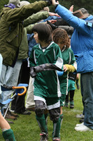 3628 Alligators GU11 112109