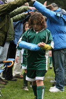 3629 Alligators GU11 112109