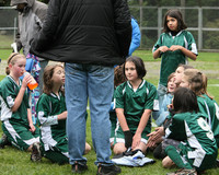 3643 Alligators GU11 112109