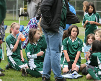 3644 Alligators GU11 112109