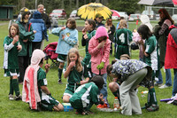 3656 Alligators GU11 112109