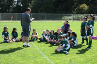 4107 Alligators GU12 091110