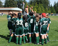 4118 Alligators GU12 091110