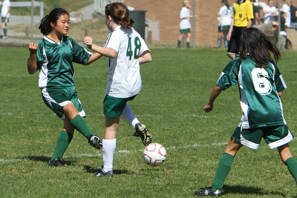 6951 Alligators GU12 091110