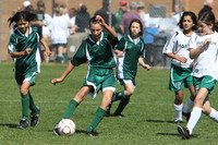 6961 Alligators GU12 091110