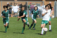 6962 Alligators GU12 091110