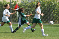 6974 Alligators GU12 091110