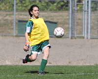 6998 Alligators GU12 091110