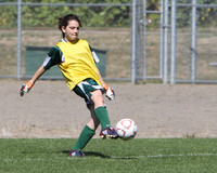 6999 Alligators GU12 091110