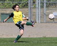 7000 Alligators GU12 091110