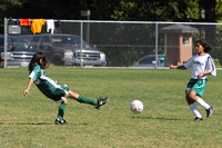 7008 Alligators GU12 091110