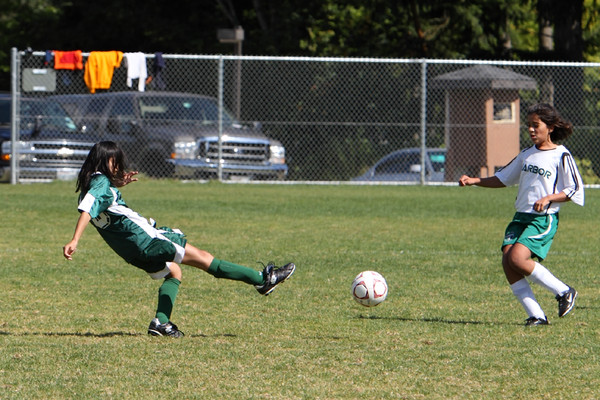 7008 Alligators GU12 091110