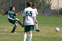 7010 Alligators GU12 091110