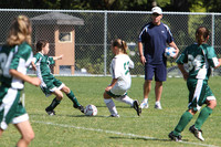 7019 Alligators GU12 091110