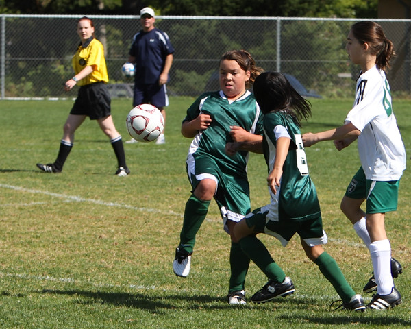 7026 Alligators GU12 091110