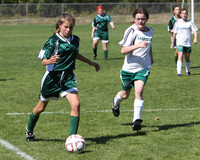 7031 Alligators GU12 091110