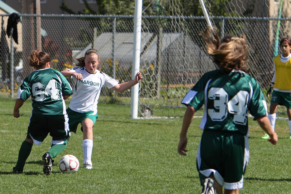 7046 Alligators GU12 091110