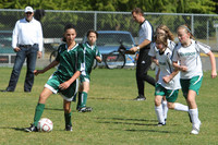 7052 Alligators GU12 091110