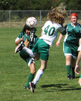 7061 Alligators GU12 091110