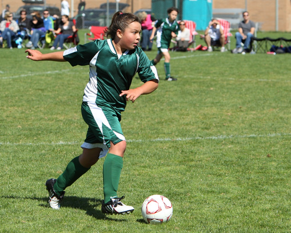 7065 Alligators GU12 091110