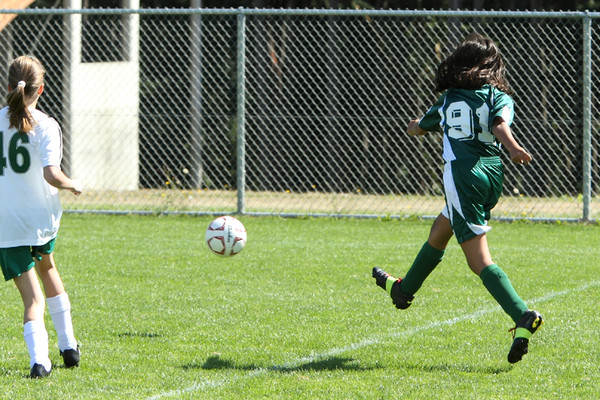 7072 Alligators GU12 091110